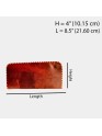  Women's Brown Fashion Clutch Genuine Leather Two Fold Wallet Card Holder Purse